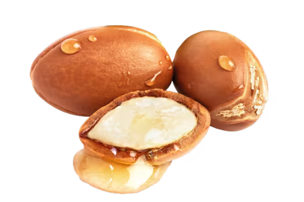 Bơ cacao & Dầu argan hữu cơ