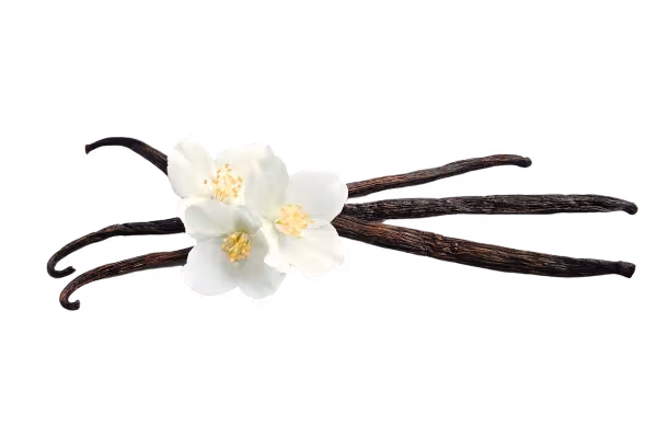 Chiết xuất vani